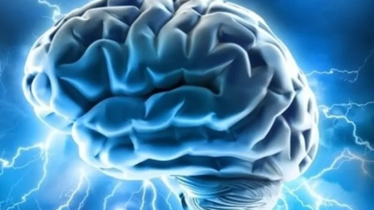 OMS afirma trastornos neurológicos afectan más tercio población